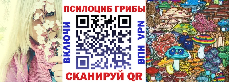 Купить закладки  Саянск  Галлюциногенные грибы Psilocybine cubensis 